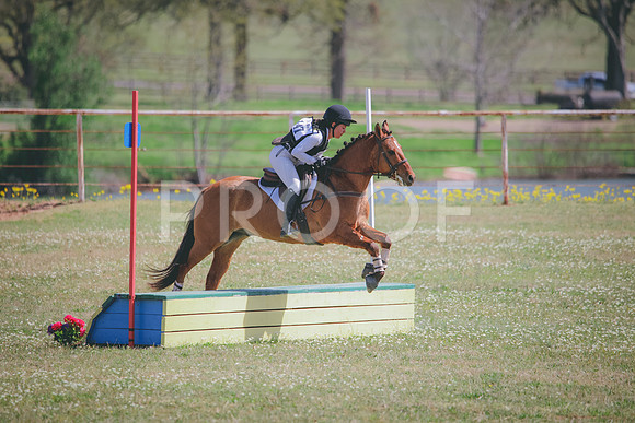 RWP_1319