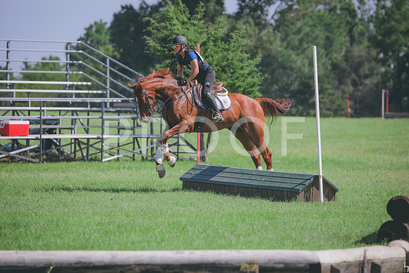 RWP_6495