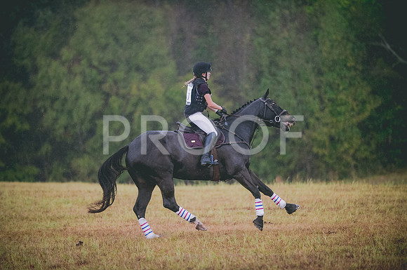 JJS_3510