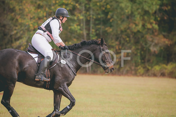 RWP_2285