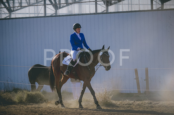 JJS_8079A