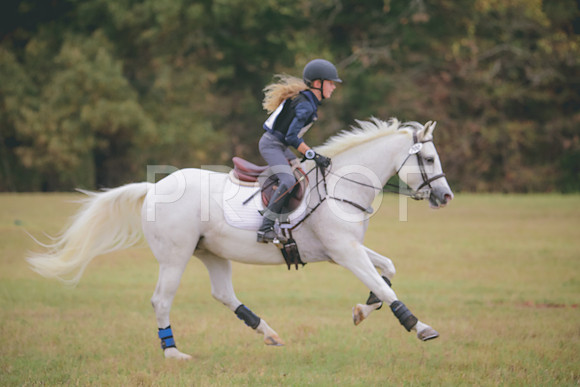 RWP_3728