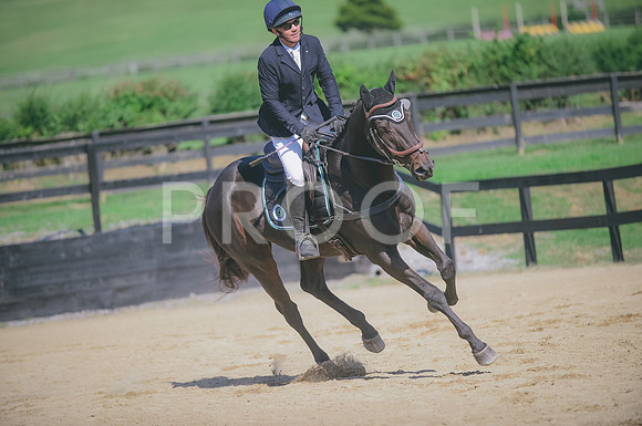 JJS_2771