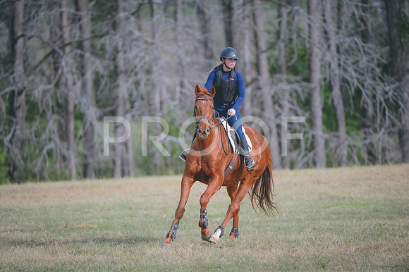 JJS_0891