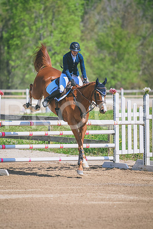 DSC_8134
