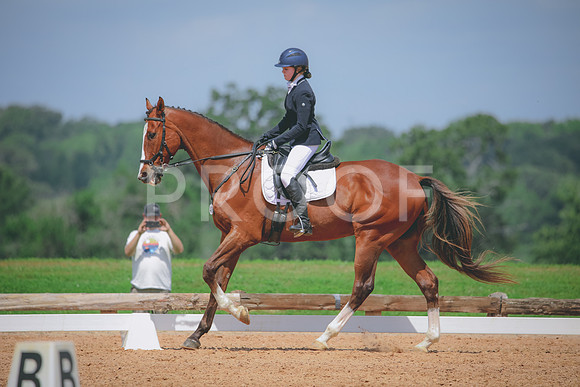 RWP_4437