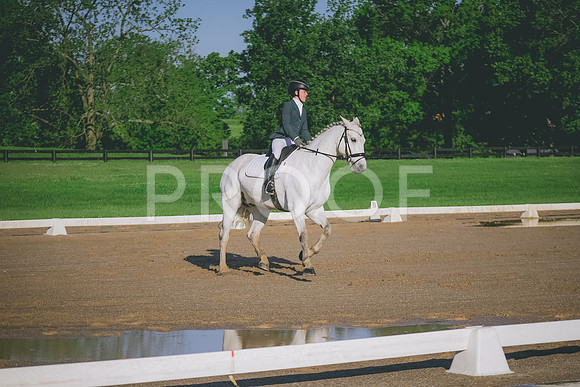 2E8A3774
