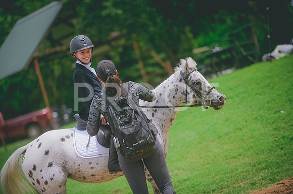 000_3962 copy