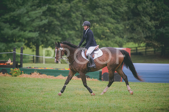 JJS_0645