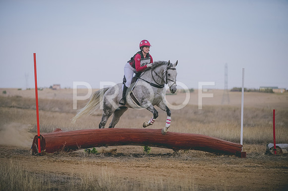 JJS_4634