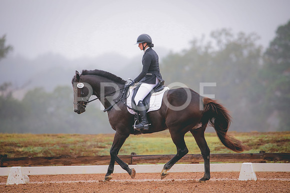 RWP_1184