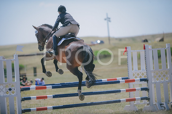 JJS_7027