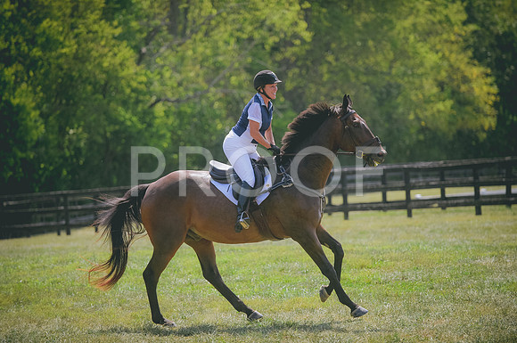 JJS_0601