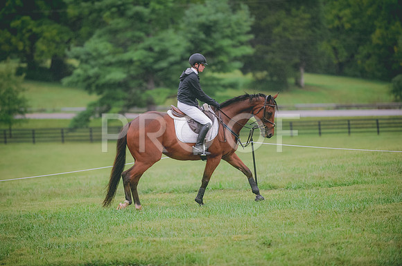 JJS_0482