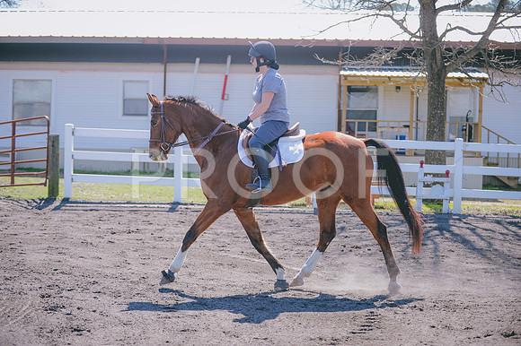 JJS_0656