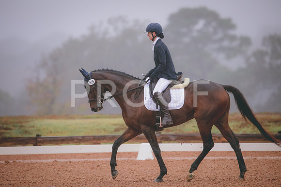 RWP_0732