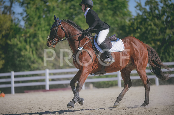 JJS_4717