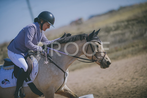 JJS_3588