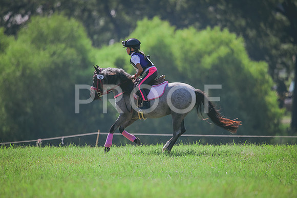 RWP_6425
