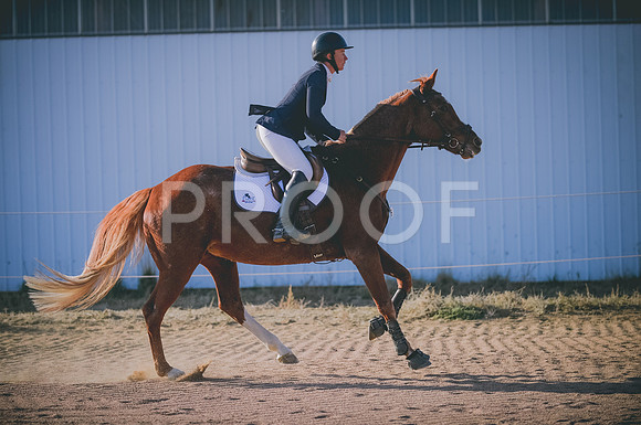 JJS_8354