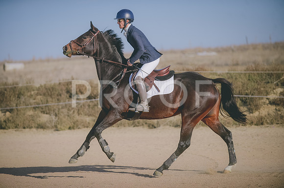 JJS_7672
