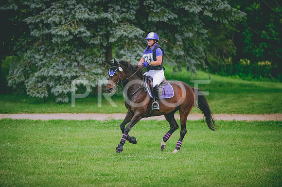 JJS_9133