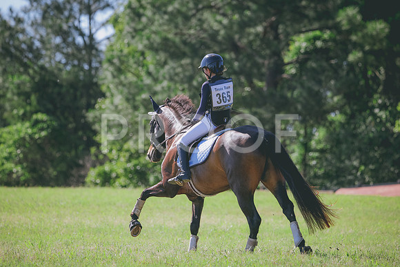 RWP_1367