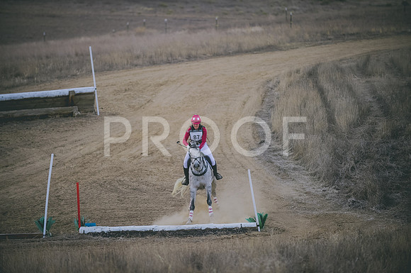 JJS_4767