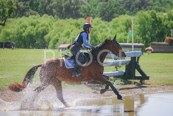 RWP_4149