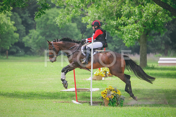 RWP_2853