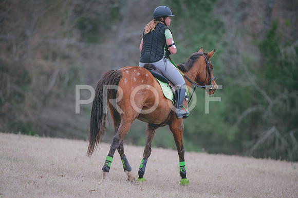 JJS_0048