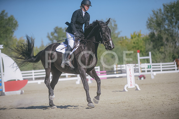 JJS_1641