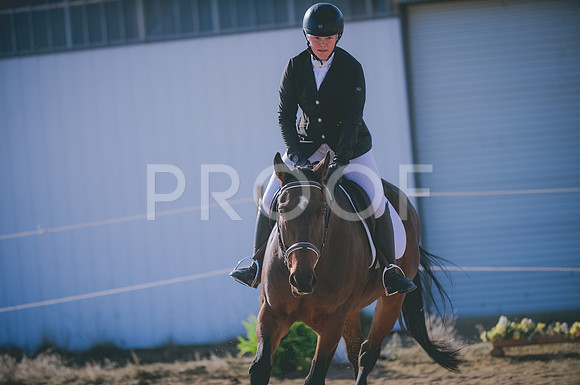 JJS_1318