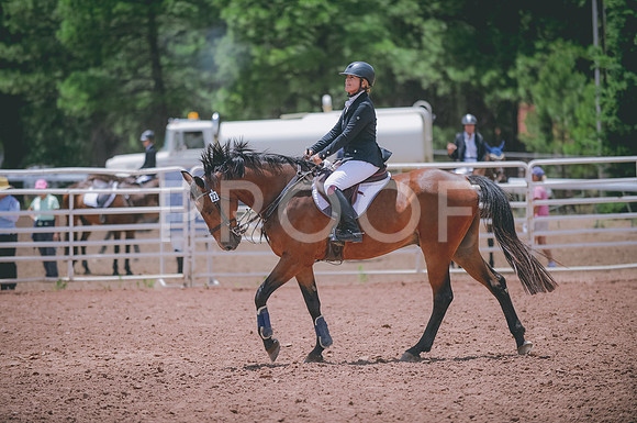 JJS_2808