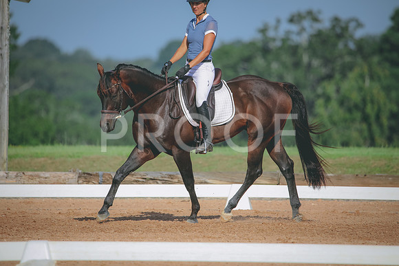 RWP_4594