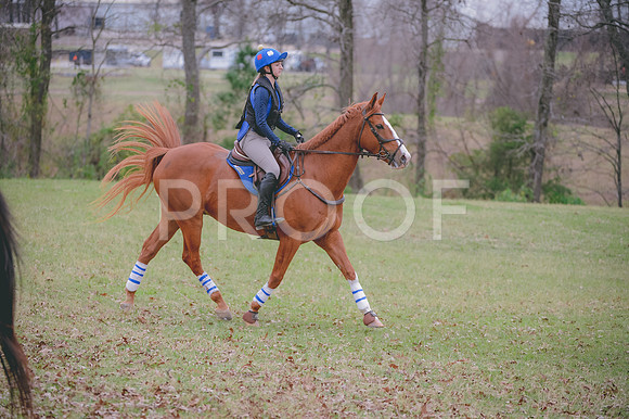 JJS_1779