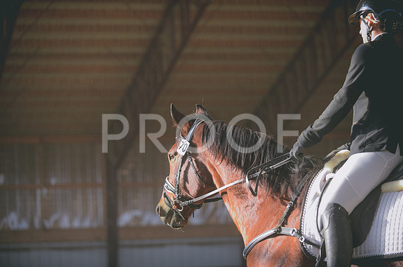 JJS_2763