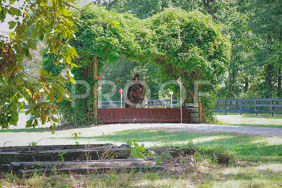 DSC01068