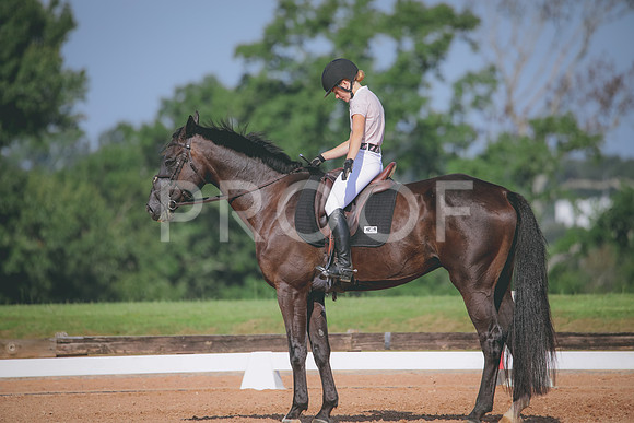 RWP_4658