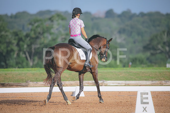 RWP_4349