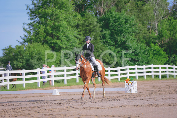 HLJ_1295