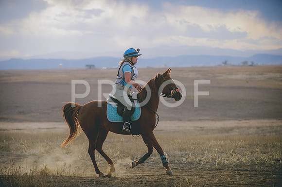 JJS_6234