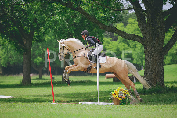 RWP_2256