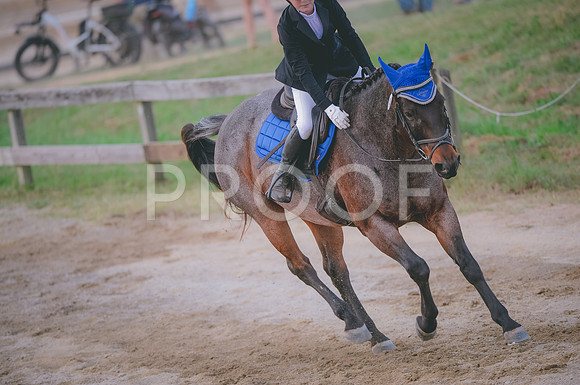JJS_3023