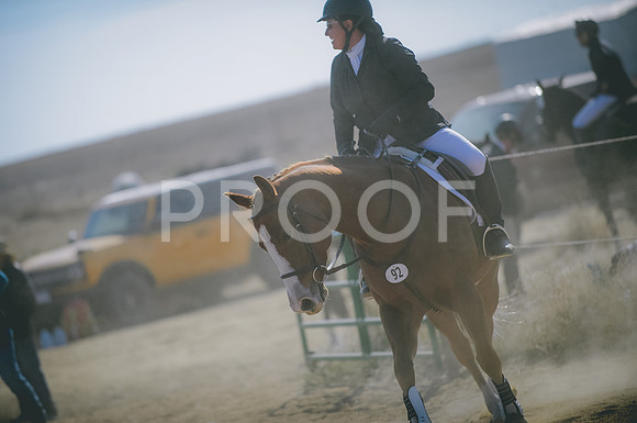JJS_4313