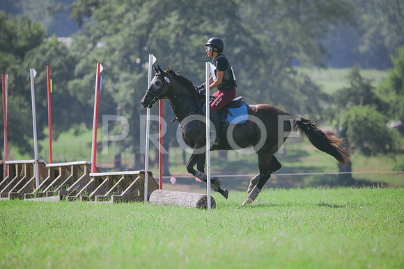 RWP_6439