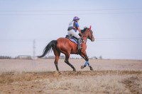 CDH_9813