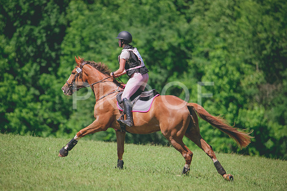 RWP_7188