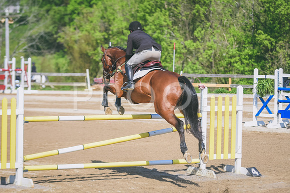 DSC_7436