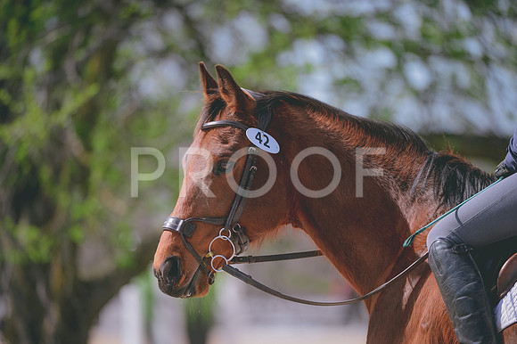 JJS_0706